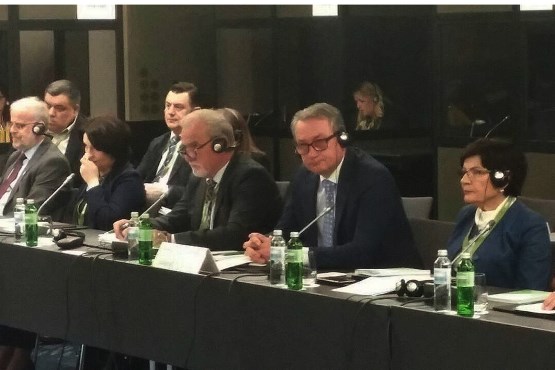 Delegacija Parlamentarne skupštine BiH učestvovala na Petom plenarnom zasjedanju Parlamentarne skupštine Procesa saradnje u Jugoistočnoj Evropi